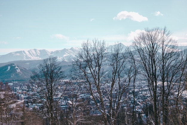 Tatry Zimą, Zdjęcia Z Kasprowego W Zakopanem