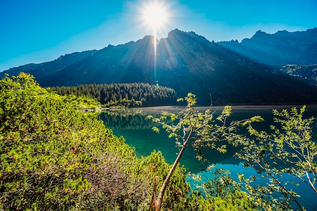 Tatrzański Park Narodowy w Polsce Słynne góry Jezioro Morskie Oko lub Morskie Oko Jezioro W Tatrach Wysokich Dolina Pięciu Jezior