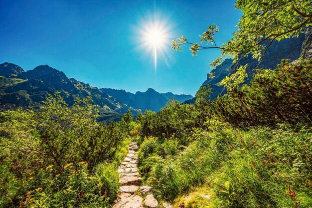 Tatrzański Park Narodowy w Polsce Słynne góry Jezioro Morskie Oko lub Morskie Oko Jezioro W Tatrach Wysokich Dolina Pięciu Jezior