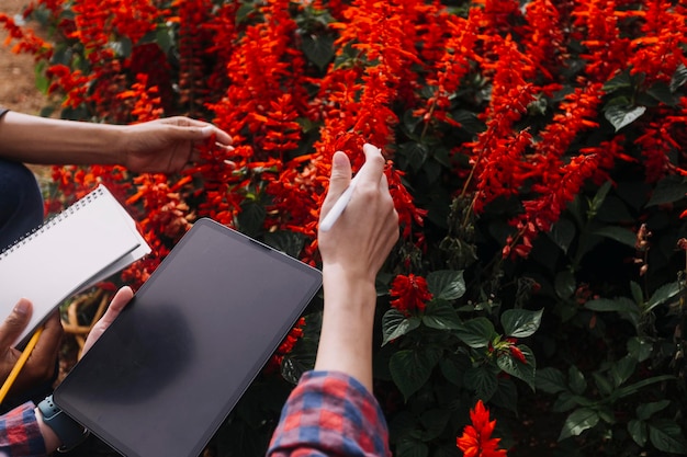 Technologia rolnicza Rolnik kobieta trzyma tablet lub tablet do badania danych dotyczących analizy problemów w rolnictwie i ikony wizualnej