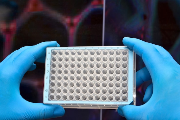Technologie komórkowe w badaniach biologicznych