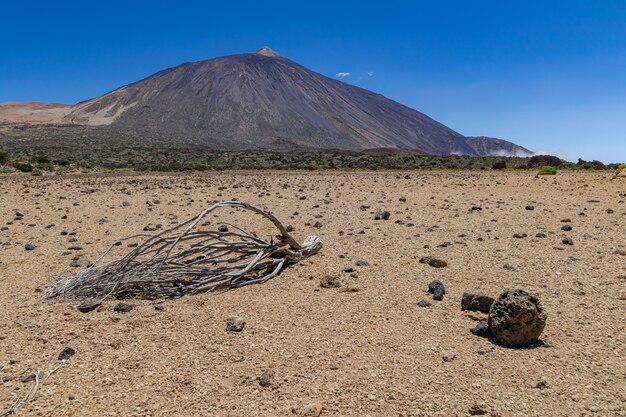 Teide park narodowy wulkaniczny krajobraz, z suchymi gałąź na suchej powierzchni, Tenerife, wyspy kanaryjska, Hiszpania