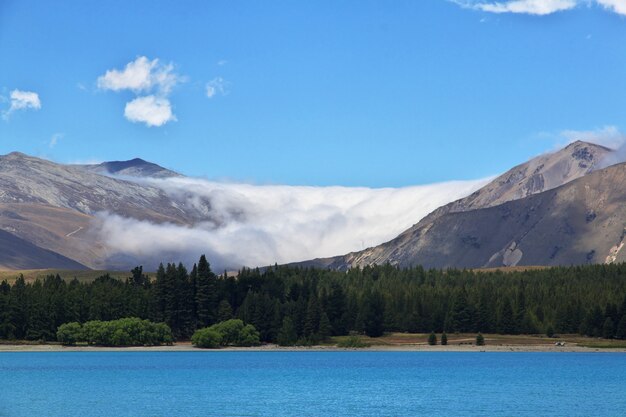 Tekapo jezioro w Południowej wyspie, Nowa Zelandia