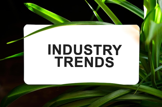 Tekst INDUSTRY TRENDS na białym tle otoczony zielonymi liśćmi