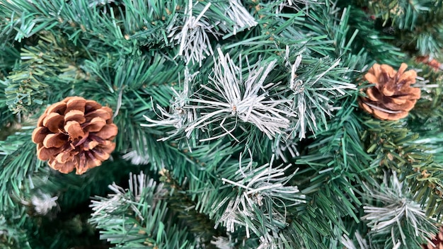 Tekstura arbol de navidad. Pino de navidad. Wesołych Świąt. Armando el arbor de navidad. Decorando.