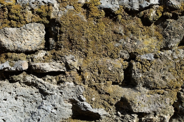 Tekstura cegieł z kamienia Kamienny mur z czasów kolonialnych