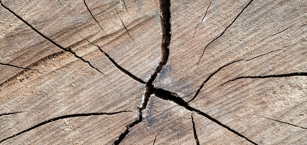 Tekstura i tło drewno, opróżniają przestrzeń