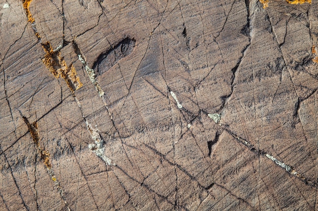 Tekstura kamienia naturalnego, szorstkie tło