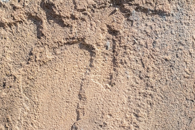 Tekstura kamienia z piaskowca z ziarnem i nieregularnościami w jasnym świetle słonecznym
