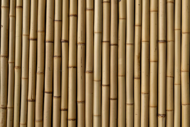 Zdjęcie tekstura okleiny ściennej z nowymi bambusami