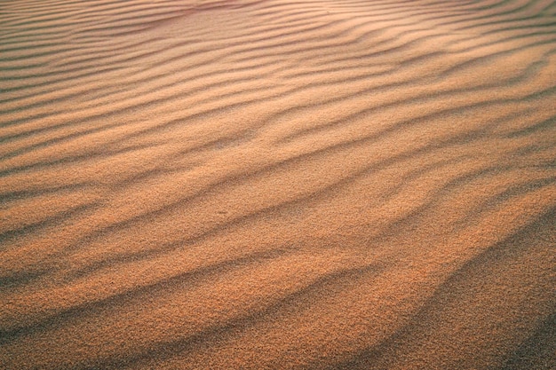 Tekstura pasków na piasku z wydmy wiatrowej na pustyni