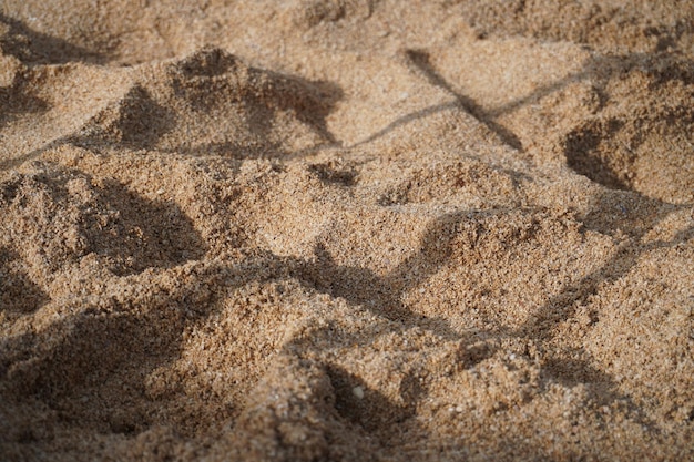 tekstura piasku na plaży