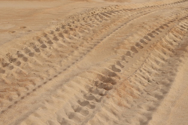 Tekstura piasku Piaszczysta plaża na tle Widok z góry Naturalny piasek tekstury tła
