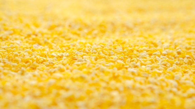 Tekstura polenty żółtej mąki kukurydzianej widok z góry Tło polenty żółta mąka kukurydziana Polenta lub kasza kukurydziana tekstura widok z góry Polenta mąka kukurydziana tekstura tło widok z góry