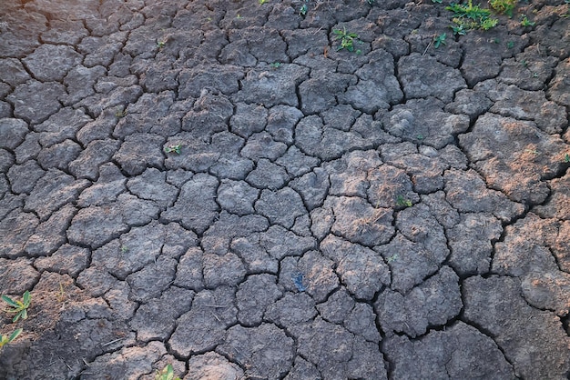 tekstura pustynia susza tło abstrakcyjna ziemia popękana ocieplenie globalne