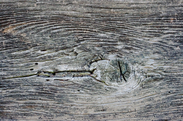 Tekstura stara drewniana deska