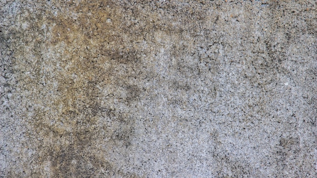 Tekstura szary polerowany cement
