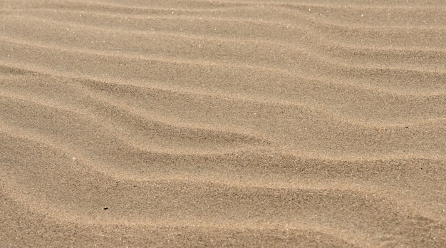 Tekstura tło piasku