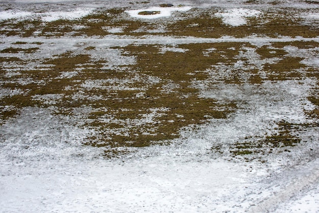 Tekstura trawy rosnącej przez śnieżną wiosnę