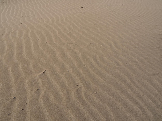 Tekstura złotego piasku z parku przyrodniczego Ebro, Hiszpania. Tło plaża piasek.