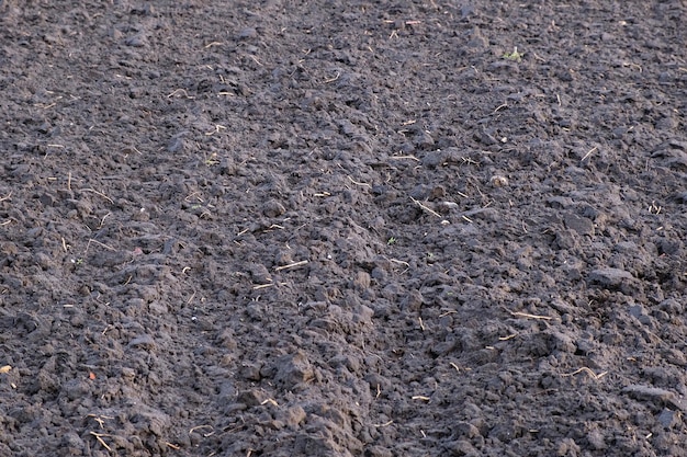 Tekstura żyznej gleby widok z góry Koncepcja wiosennego sezonu ogrodniczego Poluzowana ziemia na polu Wiosenny siew pszenicy ozimej Ślady maszyn rolniczych na czarnej glebie