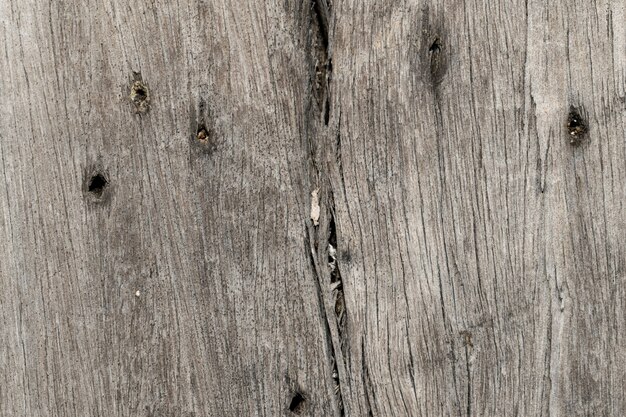 tekstury drewna