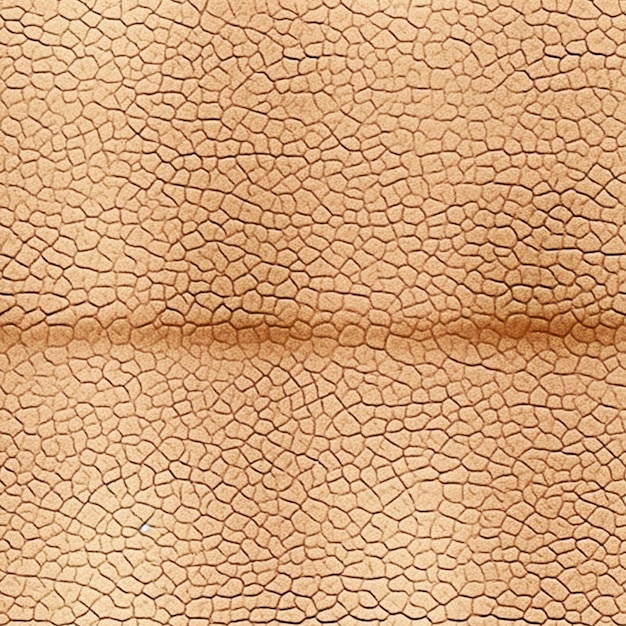 Zdjęcie tekstury skóry