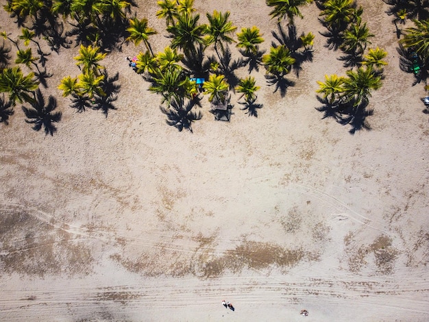 Zdjęcie tela honduras vista de drone