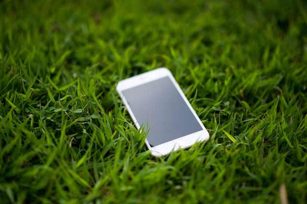 Telefon komórkowy Umieszczony w jasnozielonej trawie