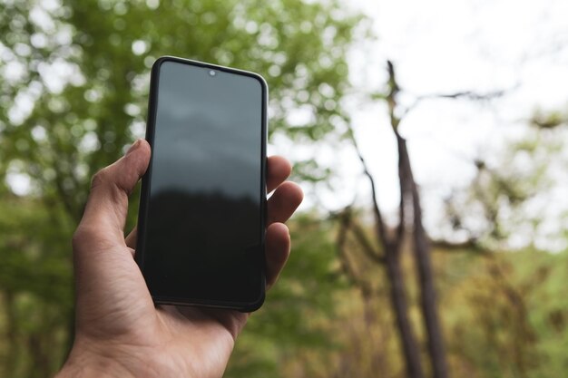 Telefon w ręku szuka komunikacji w lesie