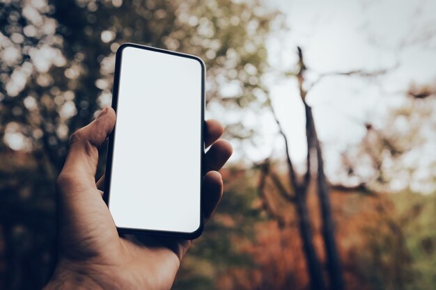 Telefon w ręku szuka komunikacji w lesie