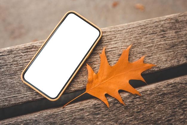 Telefon z izolowanym ekranem w parku na ławce jesienią to miejsce na reklamę