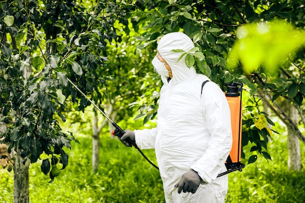 Temat rolnictwa przemysłowego Osoba spryskuje plantację toksycznymi pestycydami lub insektycydami Zwalczanie chwastów