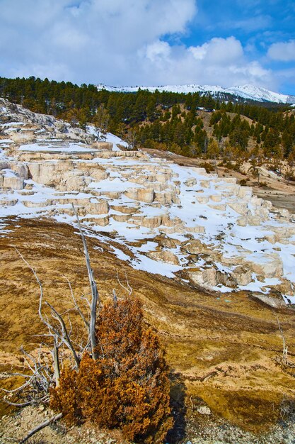 Terasy gorących źródeł mamuta Yellowstone pokryte śniegiem