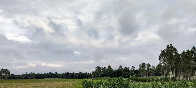 terenowe pracy terenowe tło grunty rolne tereny pano terenowych 360 panorama wieś zielonym terenowych landscap