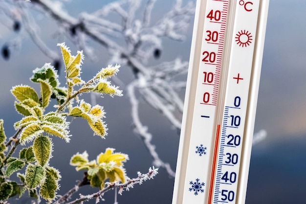Termometr na tle oszronionych gałęzi pokazuje temperaturę minus 10 stopni
