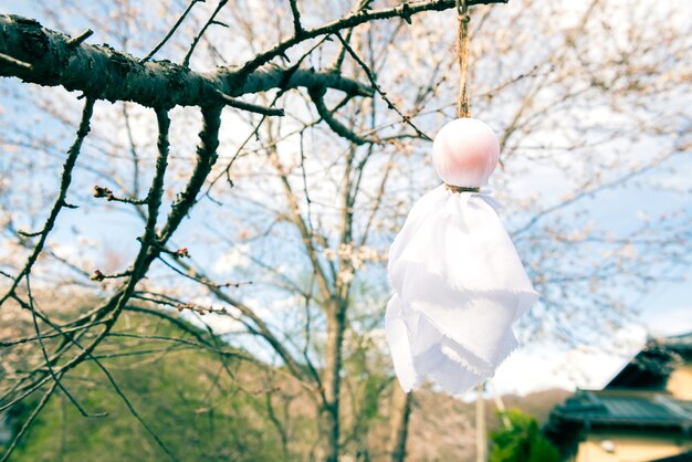 Teru Teru Bozu. Japońska Lalka Rain Wisząca Na Drzewie Sakura, Aby Modlić Się O Dobrą Pogodę