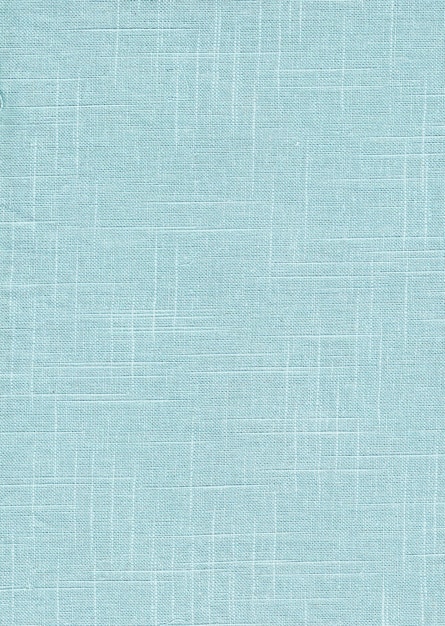 Texture Fabric Blue