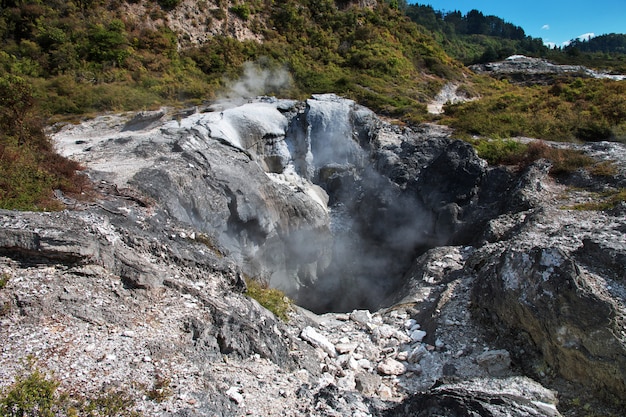 Thermal Park W Rotorua, Nowa Zelandia