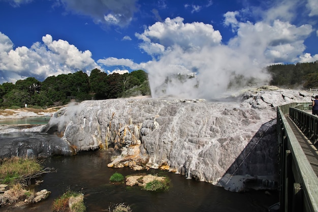 Thermal Park W Rotorua W Nowej Zelandii