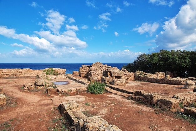 Tipaza Rzymskie ruiny kamienia i piasku w Algierii, Afryka