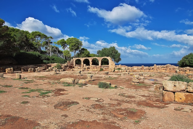 Tipaza rzymskie ruiny z kamienia i piasku w Algierii, Afryka