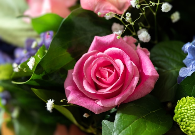 Tle kwiatów. Zbliżenie różowej róży w świątecznym bukiecie