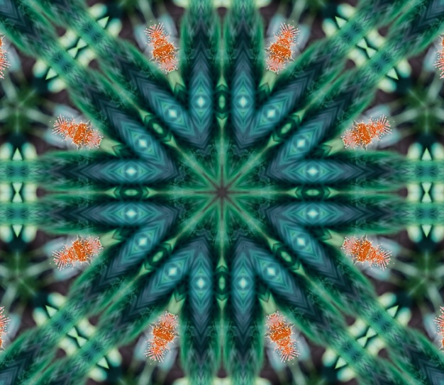 Tło abstrakcyjny płomień mandali kwiat kolorowy