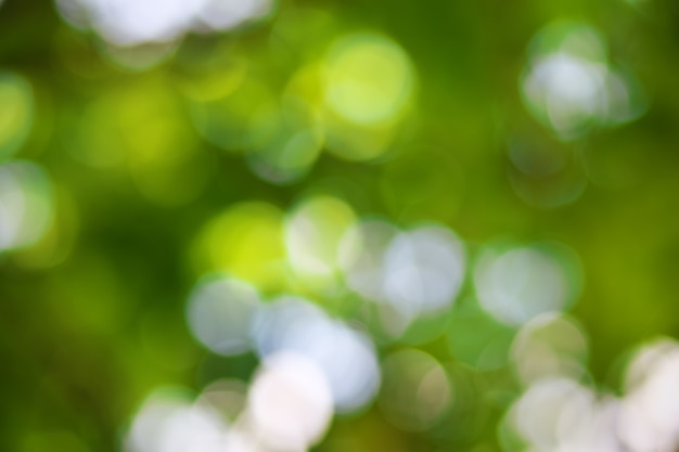 Tło bokeh. Element projektu.
