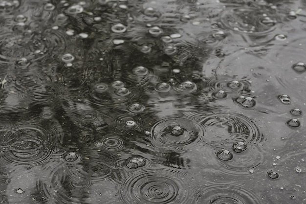 Tło Deszcz Kałuży / Koła I Krople W Kałuży, Tekstura Z Bąbelkami W Wodzie, Jesienny Deszcz