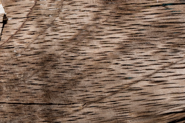 Tło drewniana tekstura