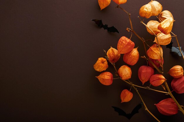 Zdjęcie tło halloween stado czarnych nietoperzy i gałąź suchych pomarańczowych kwiatów na halloween czarne sylwetki nietoperzy z papieru na brązowym lub ciemnym tle jesienna dekoracja koncepcja halloween widok z góry