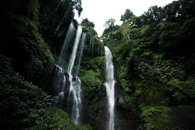 Tło kaskady wodospadu w dżungli w tropikalnym lesie deszczowym