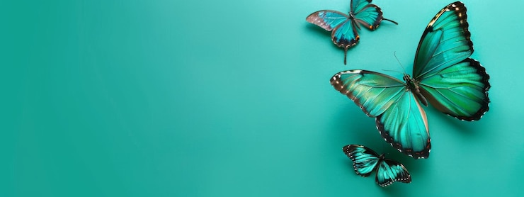 Zdjęcie tło kwiat motyl ogród wiosenny kwiatowe piękno kwiat roślina niebieski ogród motyl wiosenny